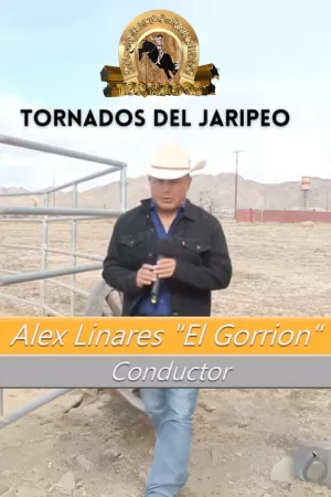 Tornados Del Jaripeo