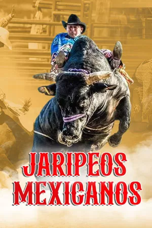 Episodio 11